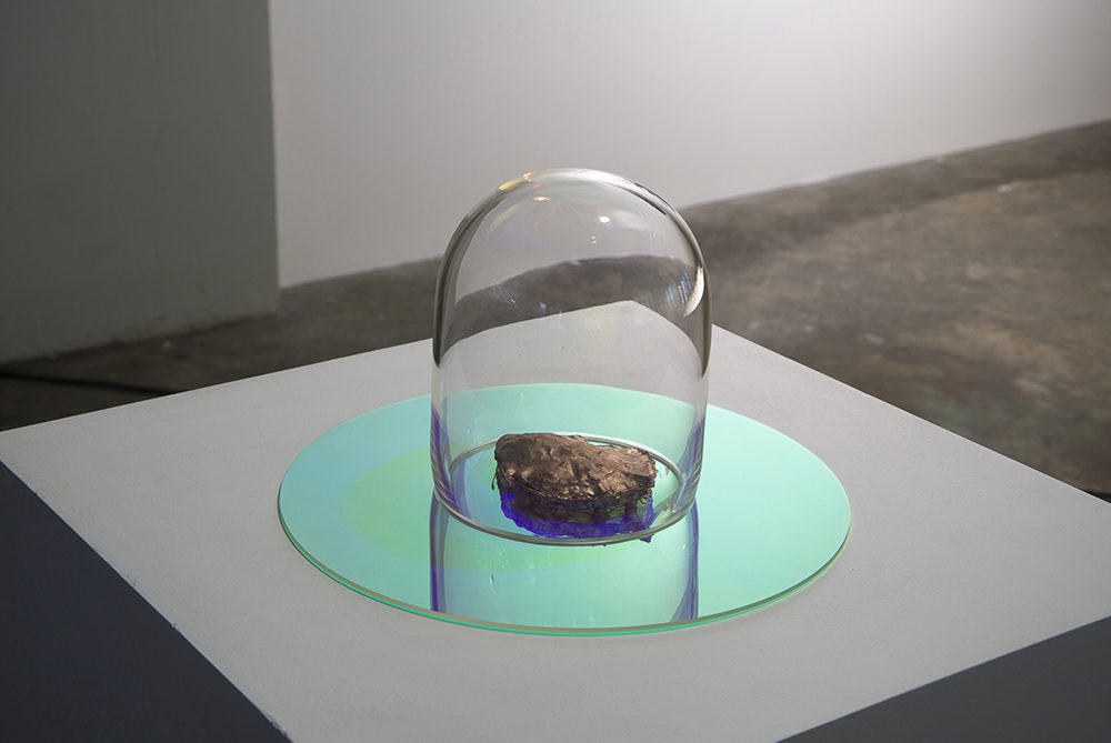 Sculptural work Getting Busy by Debbie Symons and Jasmine Targett, presenting an enlarged Angasi oyster cast in bronze, informed by research into urban marine ecosystems and aquaculture.