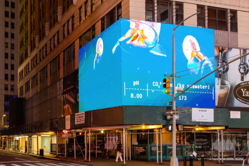New York, Times Square installation image of an environmental artwork by Debbie Symons exploring ocean acidification and its impact on sea butterfly shells.