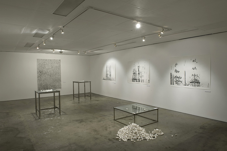 Installation image at Shifted Gallery featuring drawings by Debbie Symons mapping bird vocalisations as spectrogram data.