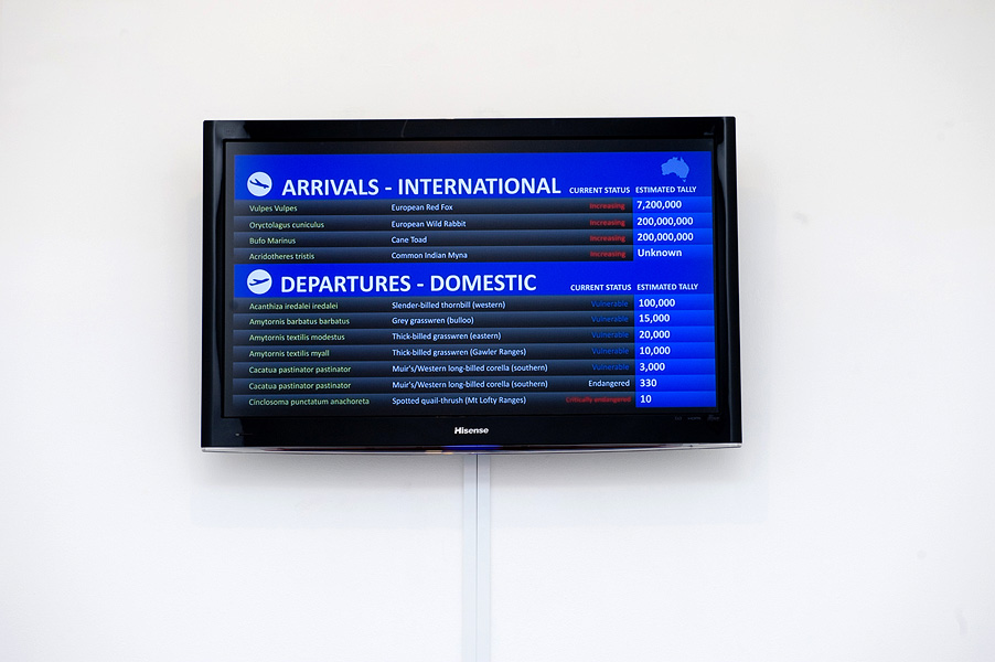 Environmental artwork Arrivals and Departures by Debbie Symons exploring invasive species and biodiversity loss.
