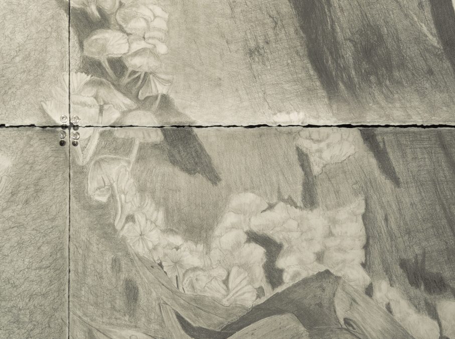 Detailed image of an environmental artwork Connection by Debbie Symons investigating the invisible networks of forest systems and human–nature interconnection.