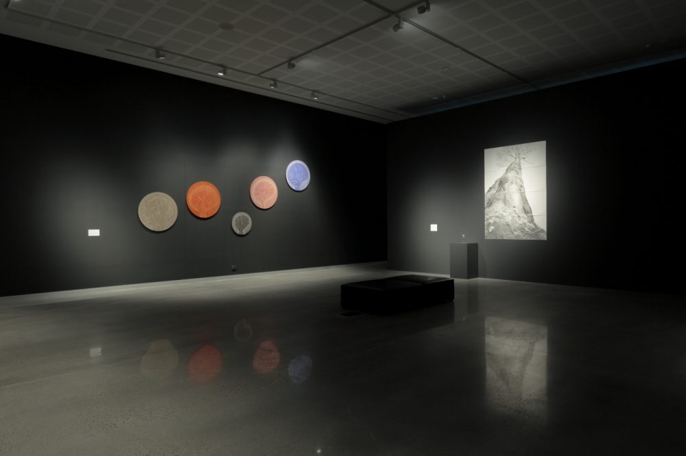 Installation image of Debbie Symons work Connection, visualising interdependence between human and non-human systems through forest ecology.