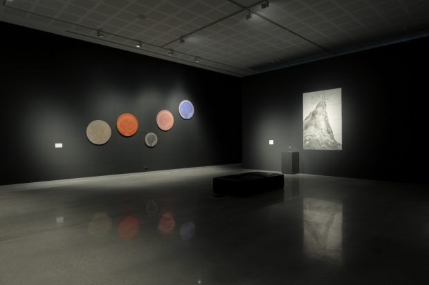 Installation image of Debbie Symons work Connection, visualising interdependence between human and non-human systems through forest ecology.