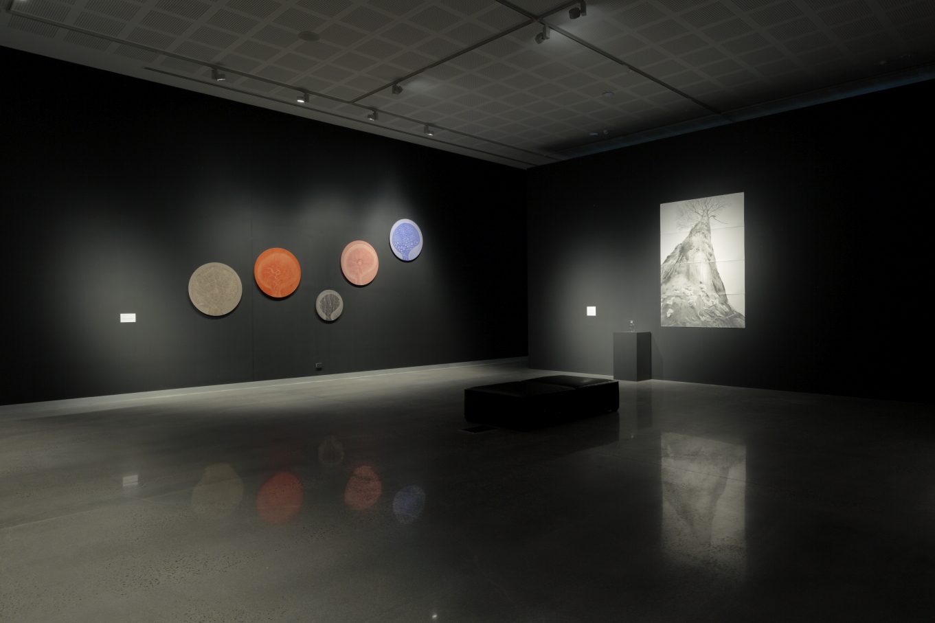 Installation image of Debbie Symons work Connection, visualising interdependence between human and non-human systems through forest ecology.