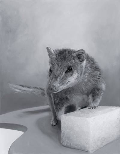 Debbie Symons. Melbourne Museum C27899. 2024. Oil on board. 